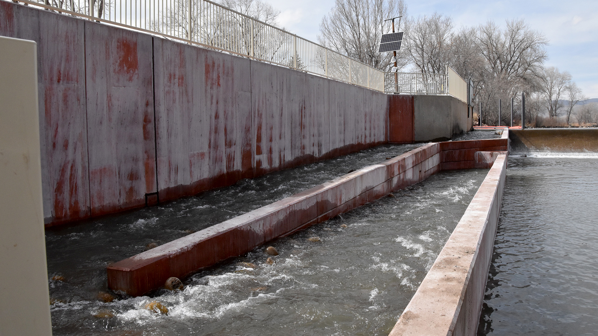 Watson Lake Fish Bypass NISP Northern Water