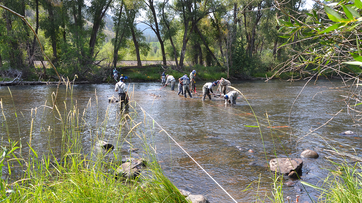 Crews placing fish monitoring lines across the river