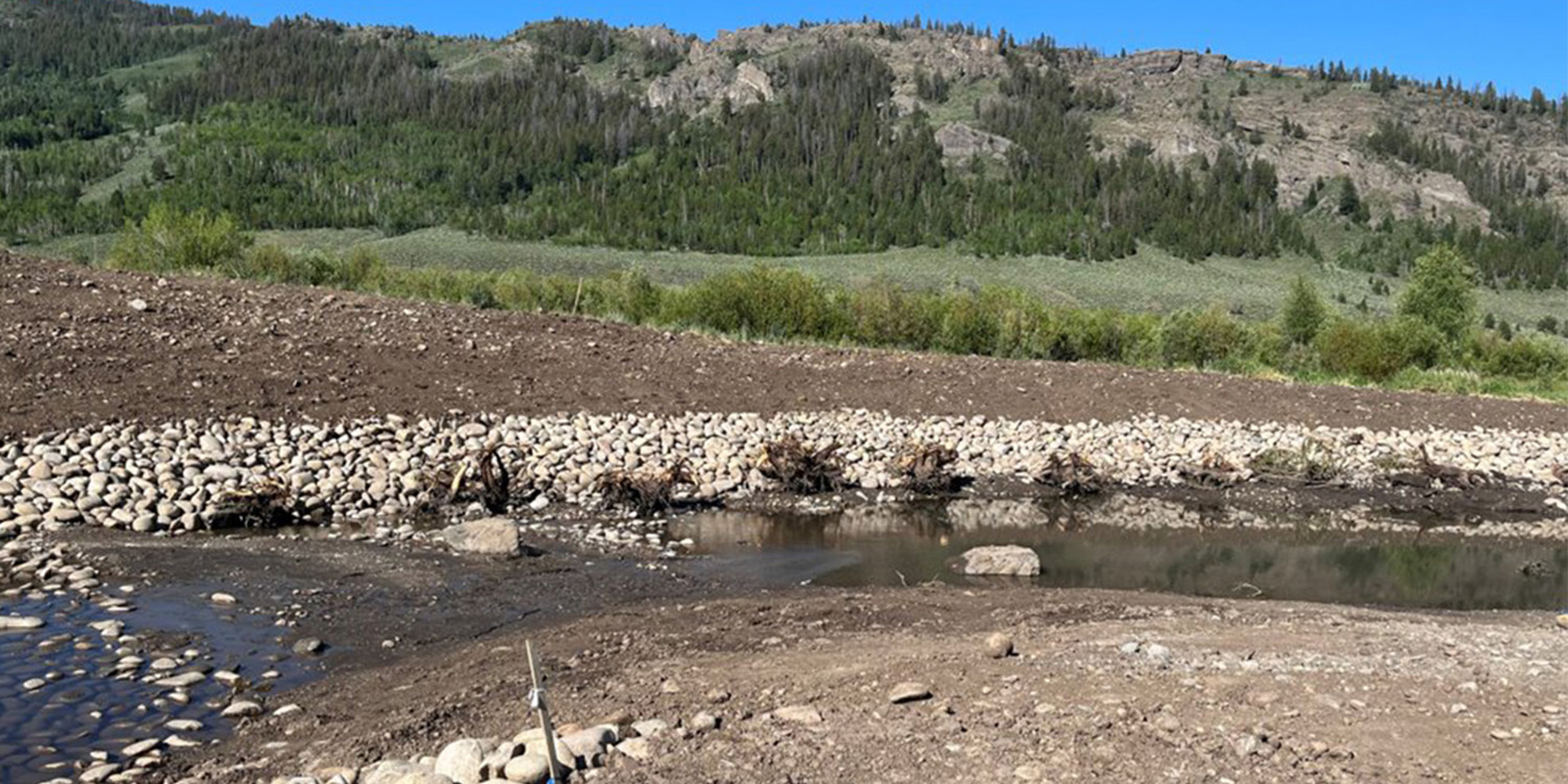 Water flowing through the Colorado River Connectivity Channel.