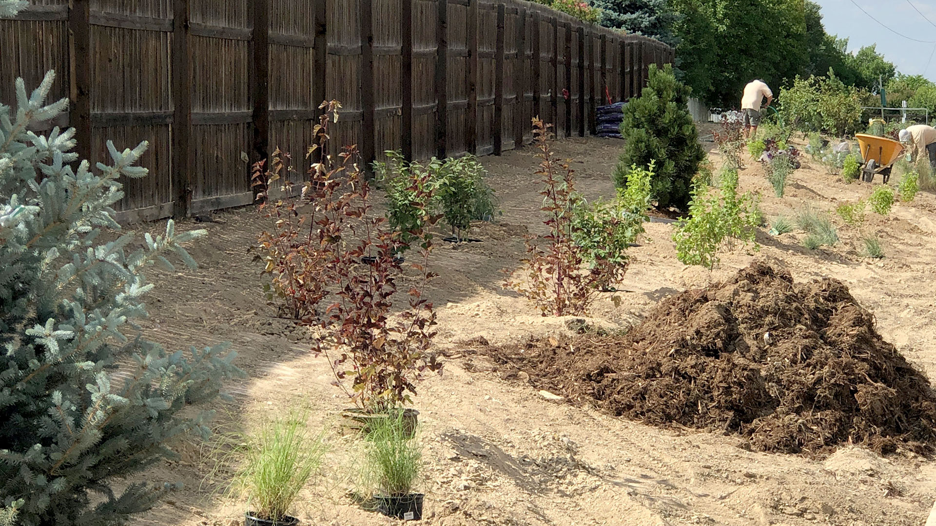 Before: Prospect HOA in Longmont grant project