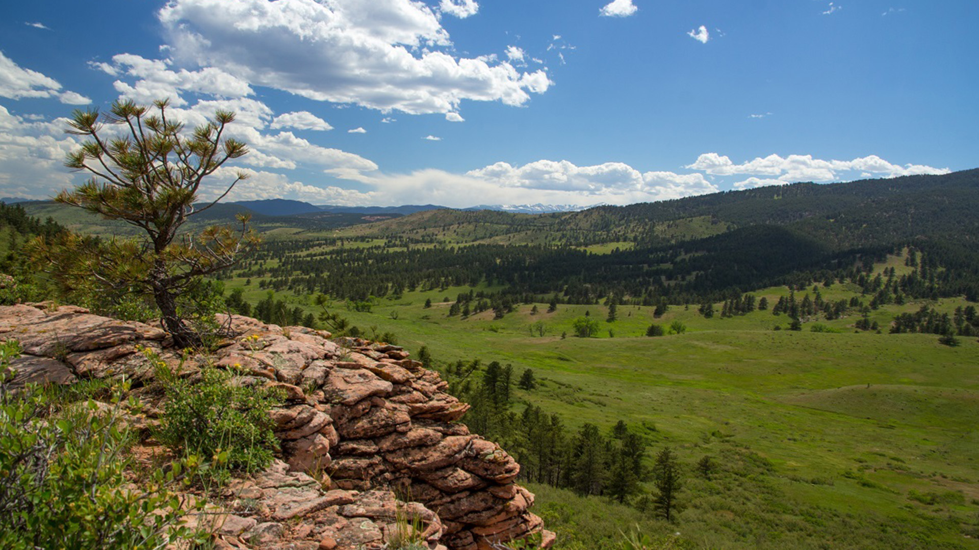 View of the Larimer County Chimney Hollow Open Space